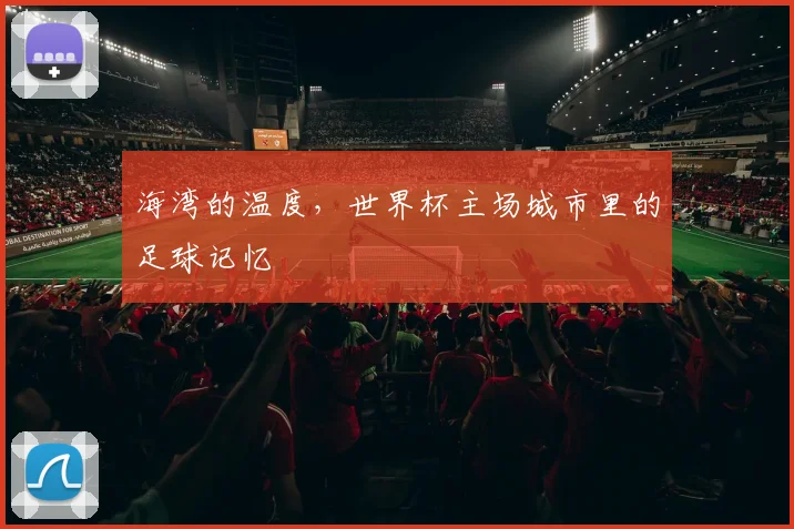 海湾的温度，世界杯主场城市里的足球记忆